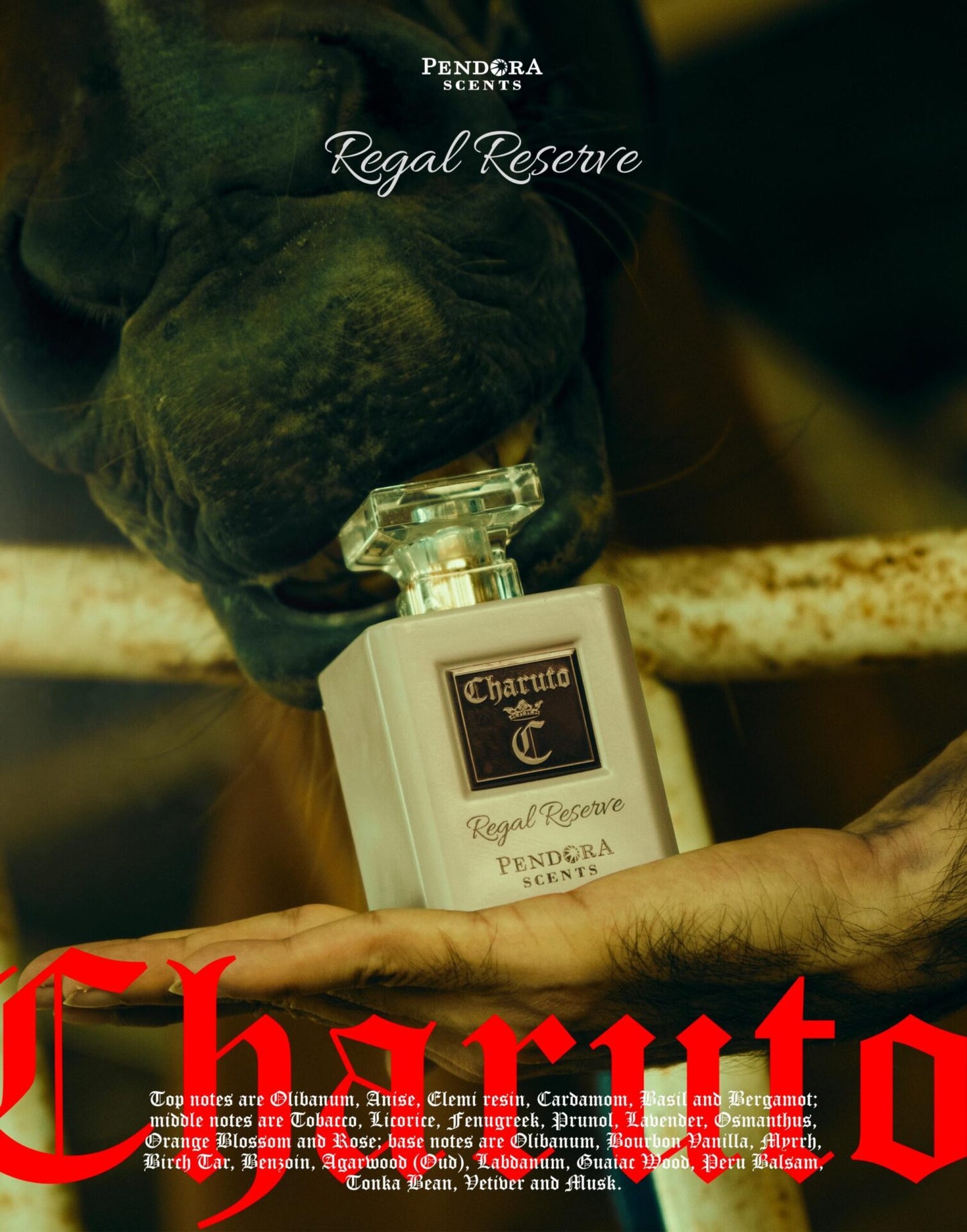 CHARUTO REGAL RESERVE | PARIS CORNER