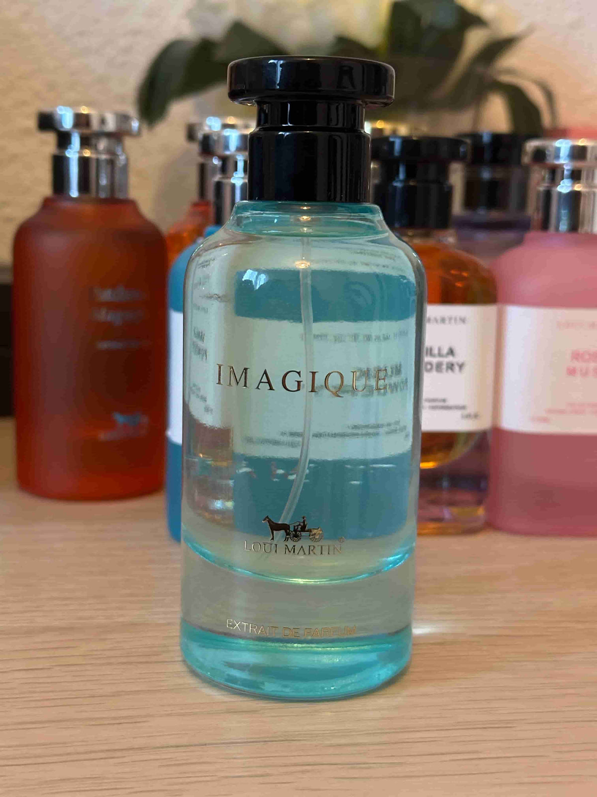 IMAGIQUE | LOUI MARTIN
