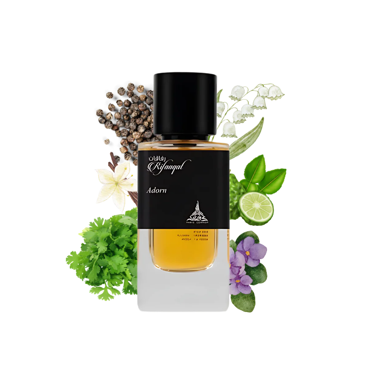 FICHE TECHNIQUE – RIFAAQAT ADORN | PARIS CORNER