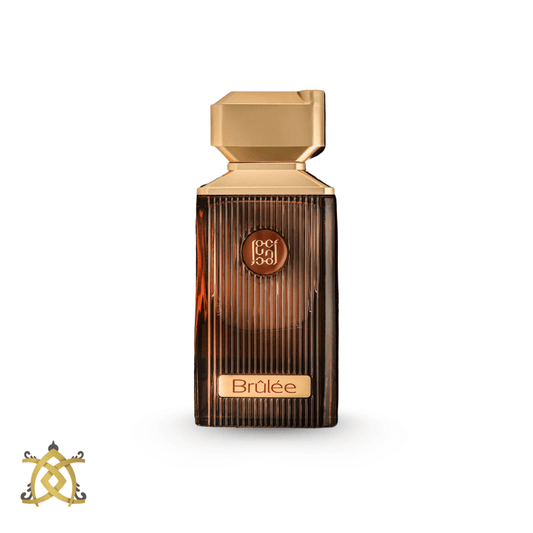 BRÛLÉE | AHMED AL MAGHRIBI