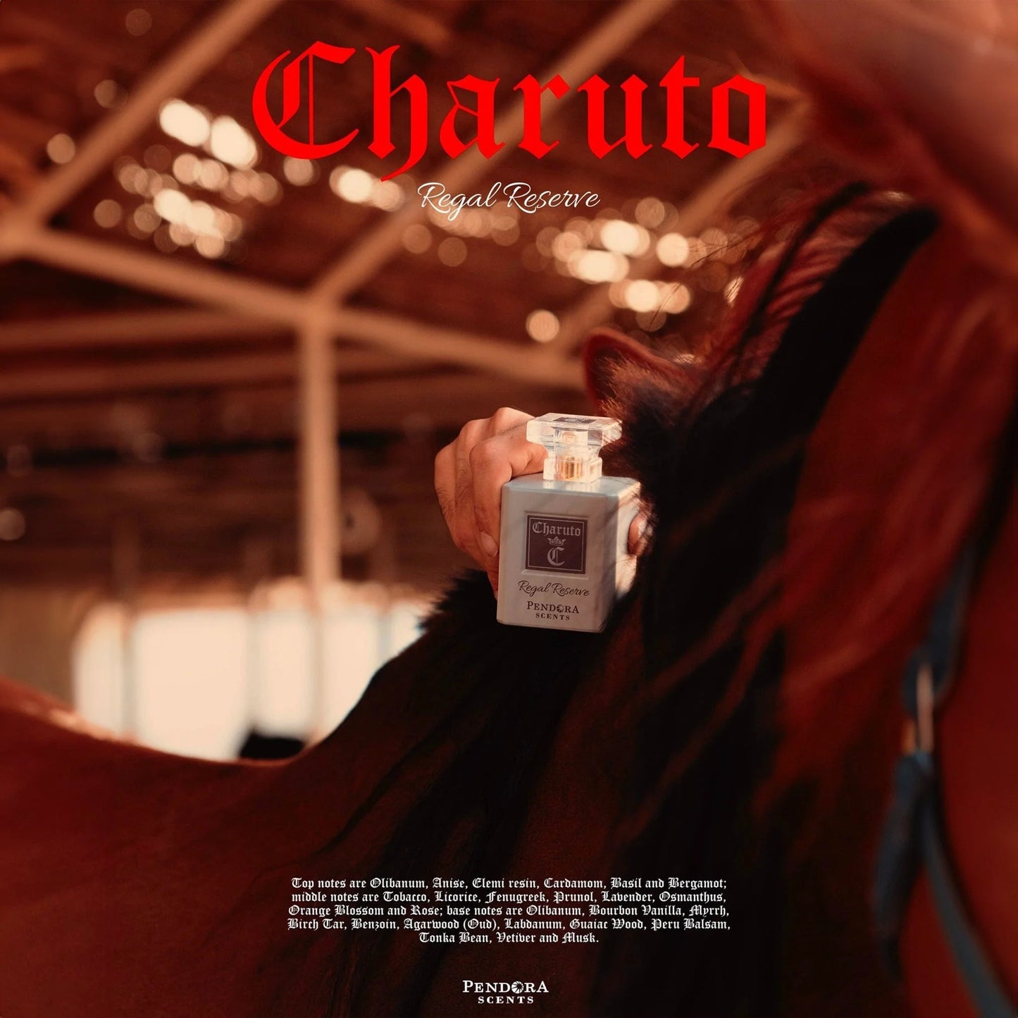 CHARUTO REGAL RESERVE | PARIS CORNER
