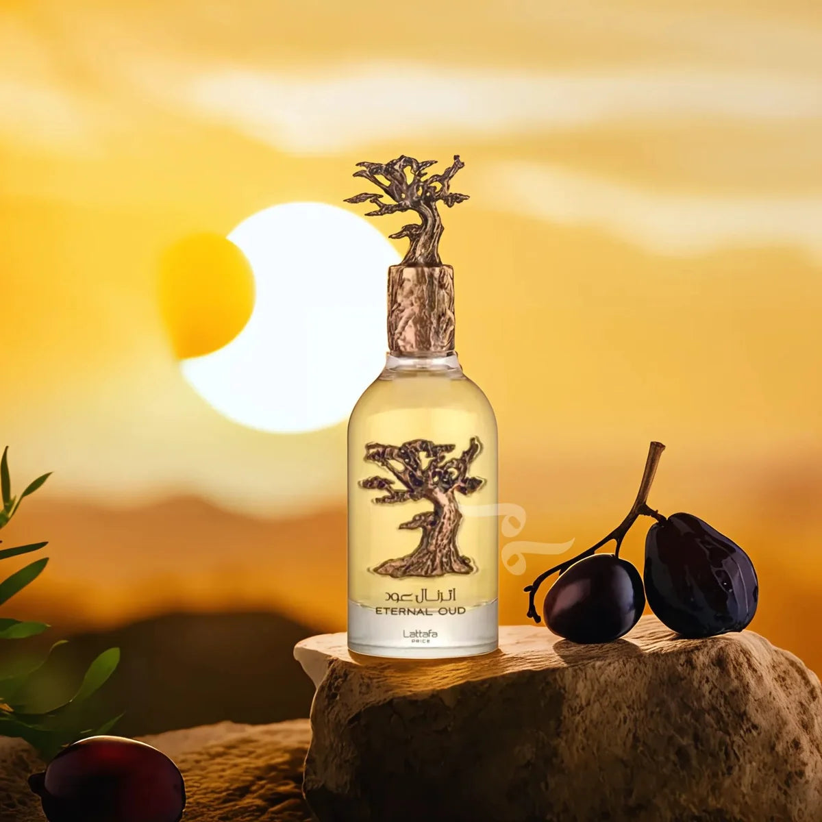 ETERNAL OUD | LATTAFA PERFUMES